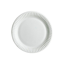 6 inch Paper Plate