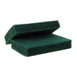 Green Scourer 9